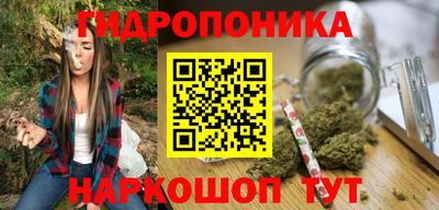 шишки Балаково
