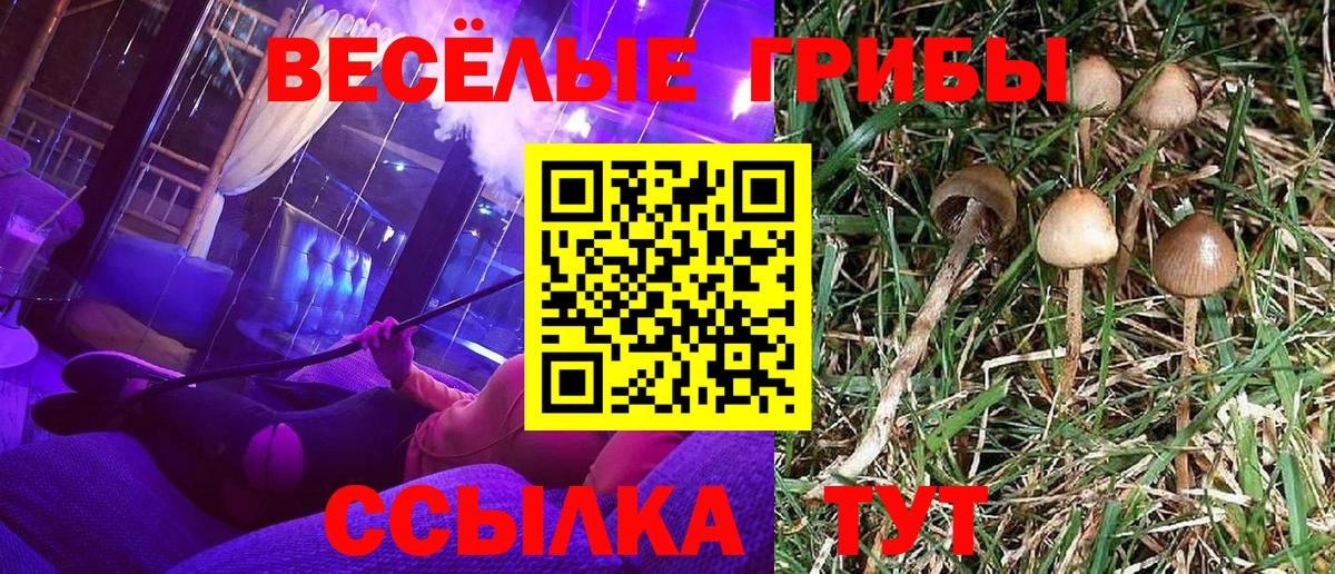 Псилоцибиновые грибы ЛСД  Вход с VPN  купить  цена  Галлюциногенные грибы GOLDEN TEACHER  Донецк 